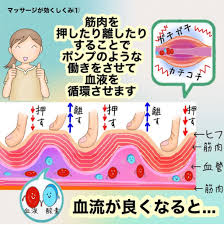 リンパマッサージで自律神経を整えるメカニズム